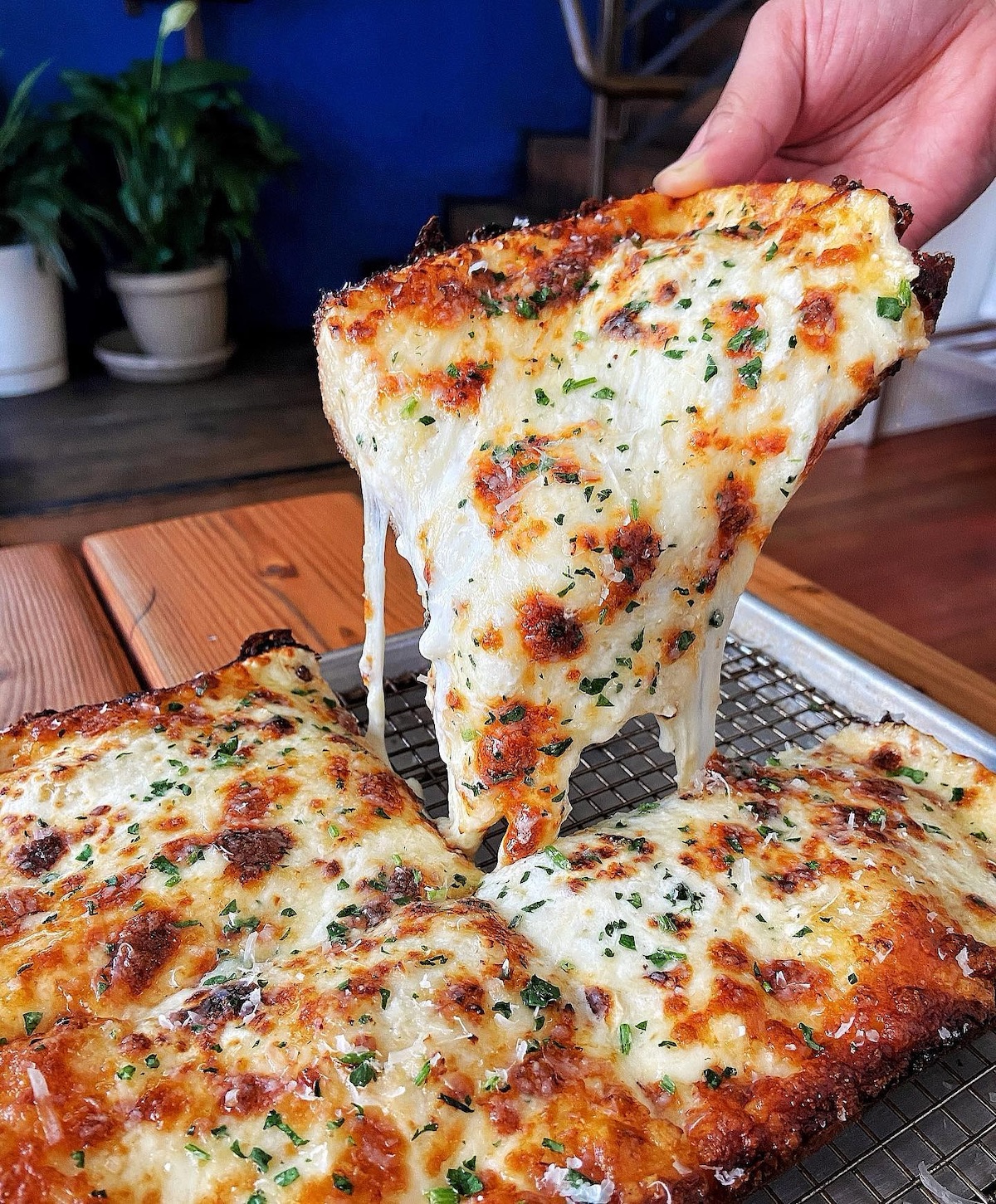 Square Pie Guys Planning to Expand in the Bay Area