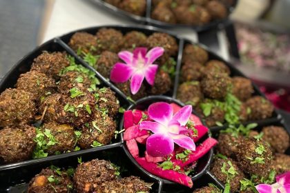 Fava Pot Planning Tysons Comeback