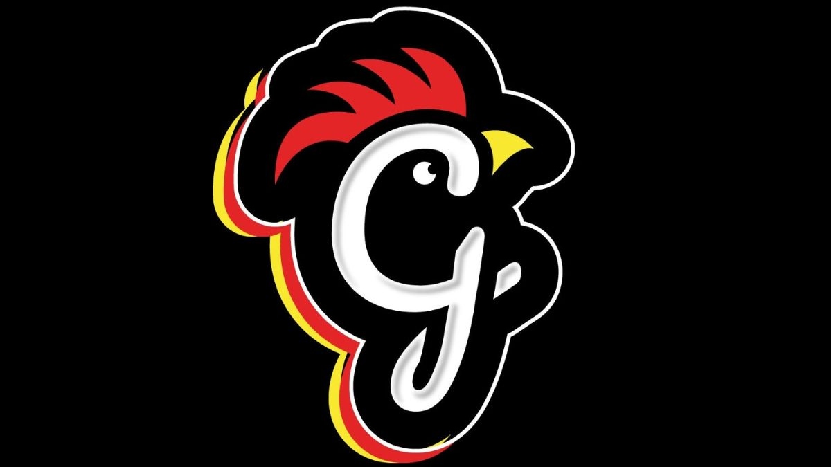 A ‘closed’ placard was issued to the fast food place Chicken G’s last Thursday.