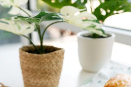 1928 Cuban Bistro Opening a Downtown Location