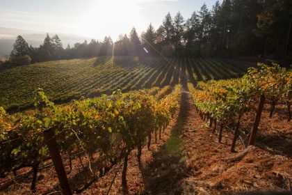 California Wine Exchange Bringing Wine Tasting Concept to Burbank