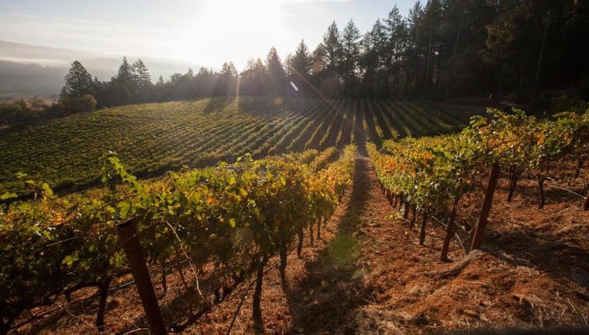 California Wine Exchange Bringing Wine Tasting Concept to Burbank