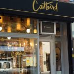 The Brooklyn-based jewelry brand Catbird is coming up with its first store outlet in Atlanta this October.