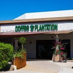 After remodeling, the much-loved establishment brings new offerings at its modified setup.