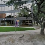 TELA Lounge, an Upscale Cocktail Concept with a Global Touch to Open in Uptown