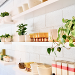 Flourish Plant Shop and Wine Bar to Bloom in Central Austin This Fall