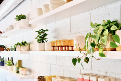 Flourish Plant Shop and Wine Bar to Bloom in Central Austin This Fall