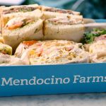 Mendocino Farms Expanding into Dublin