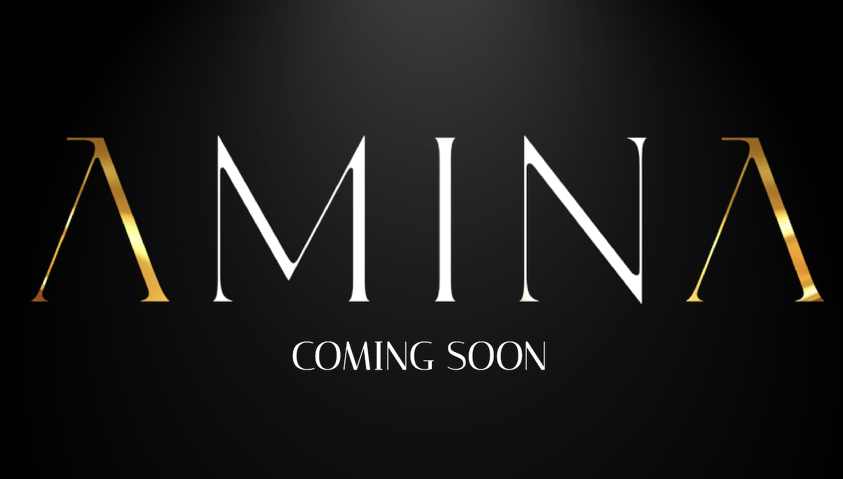 Amina To Open This Year In First Ward