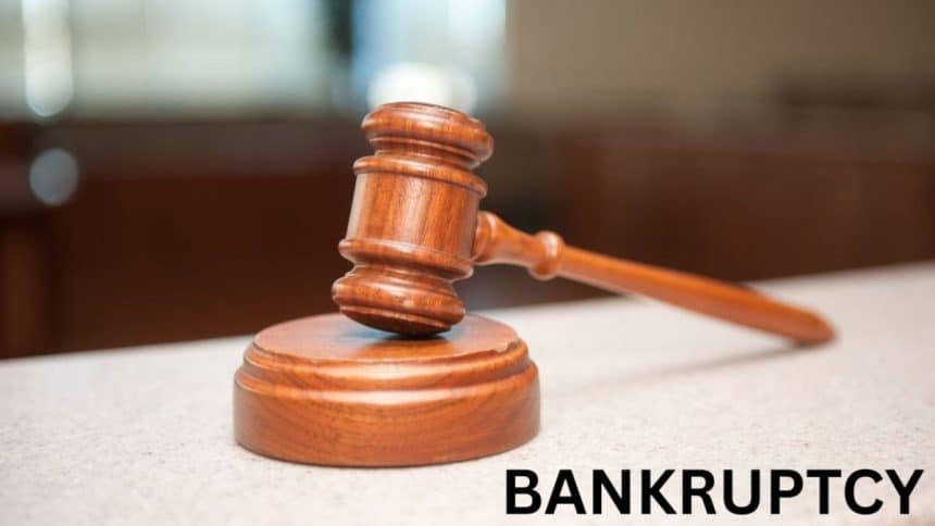 Texas-based Flinz Holdings LLC has filed for Chapter 11 bankruptcy, initiating financial restructuring proceedings.