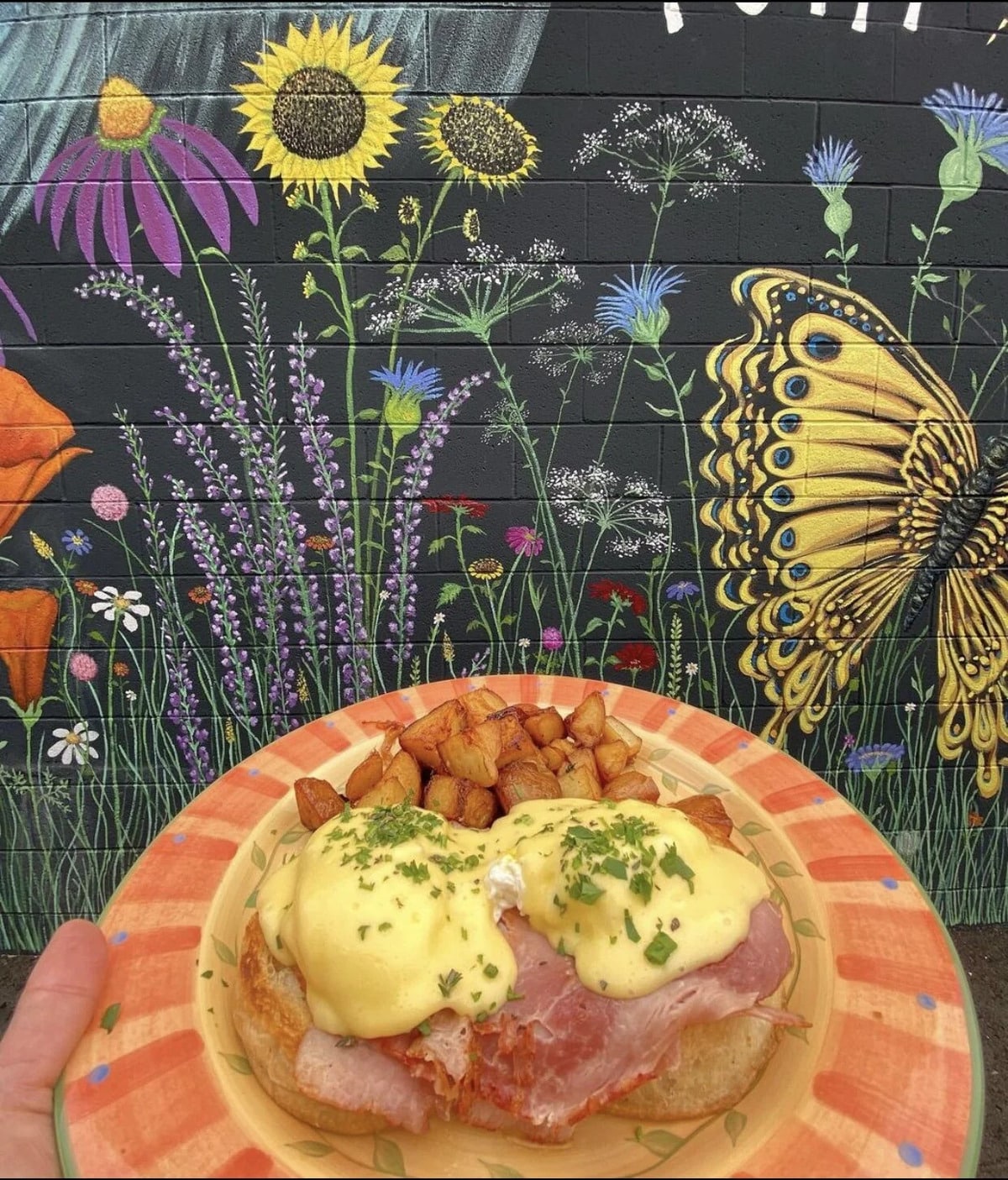Napa's Petit Soleil Relocating to Imola Avenue