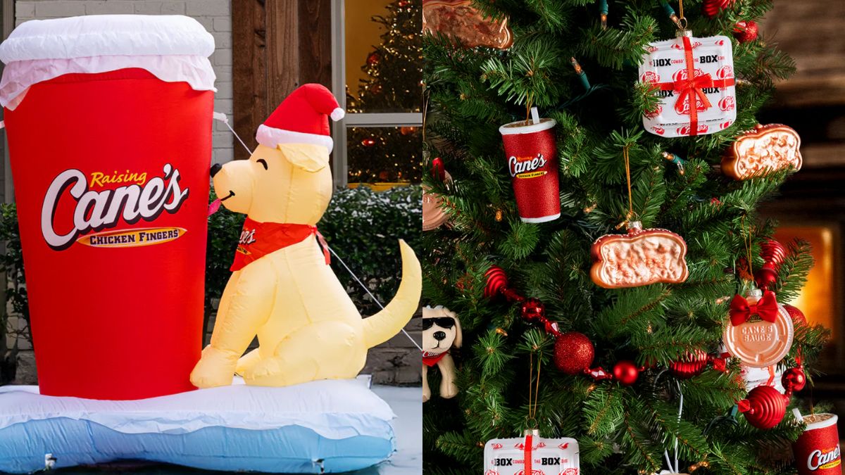 The new lineup released by Raising Cane’s is available on the company’s website