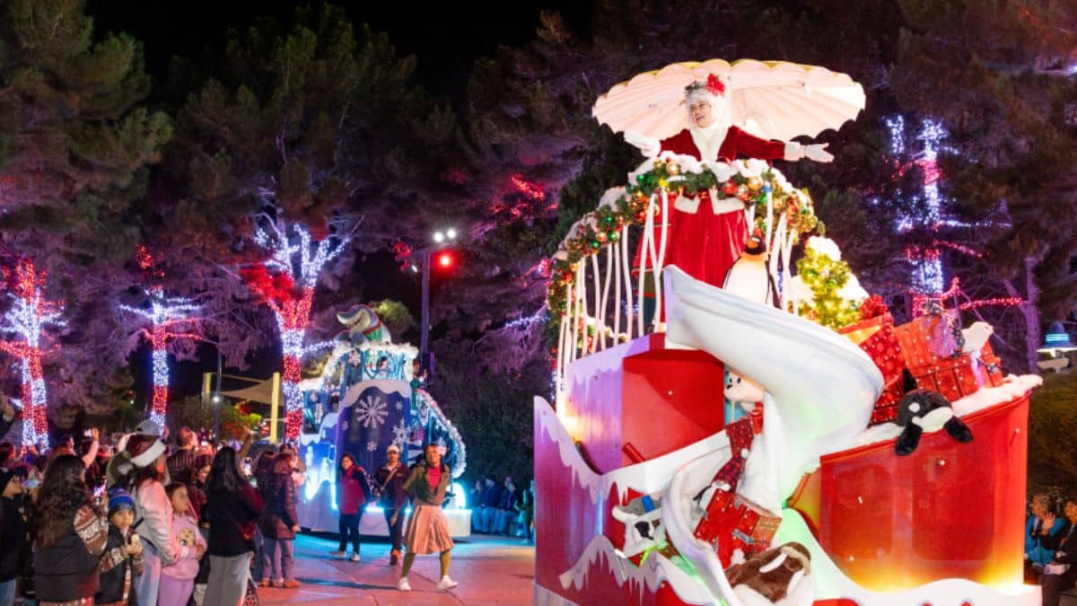 SeaWorld San Diego will light up with over one million twinkling lights and a variety of interactive displays for festive photos.