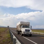 ​The trucking industry was hit by a wave of bankruptcies this year, with filings from names like Ricky Sellers Trucking, LLC, Elite Carriers, and more.