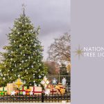 2025's National Christmas Tree