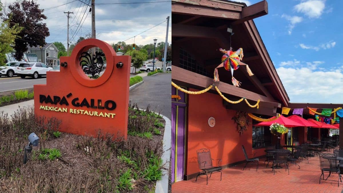 Papa Gallo storefront image