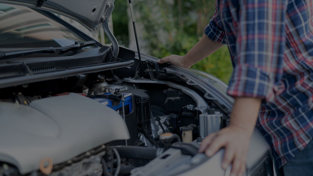 The firm plans to reorganize its business while it maintains its operations