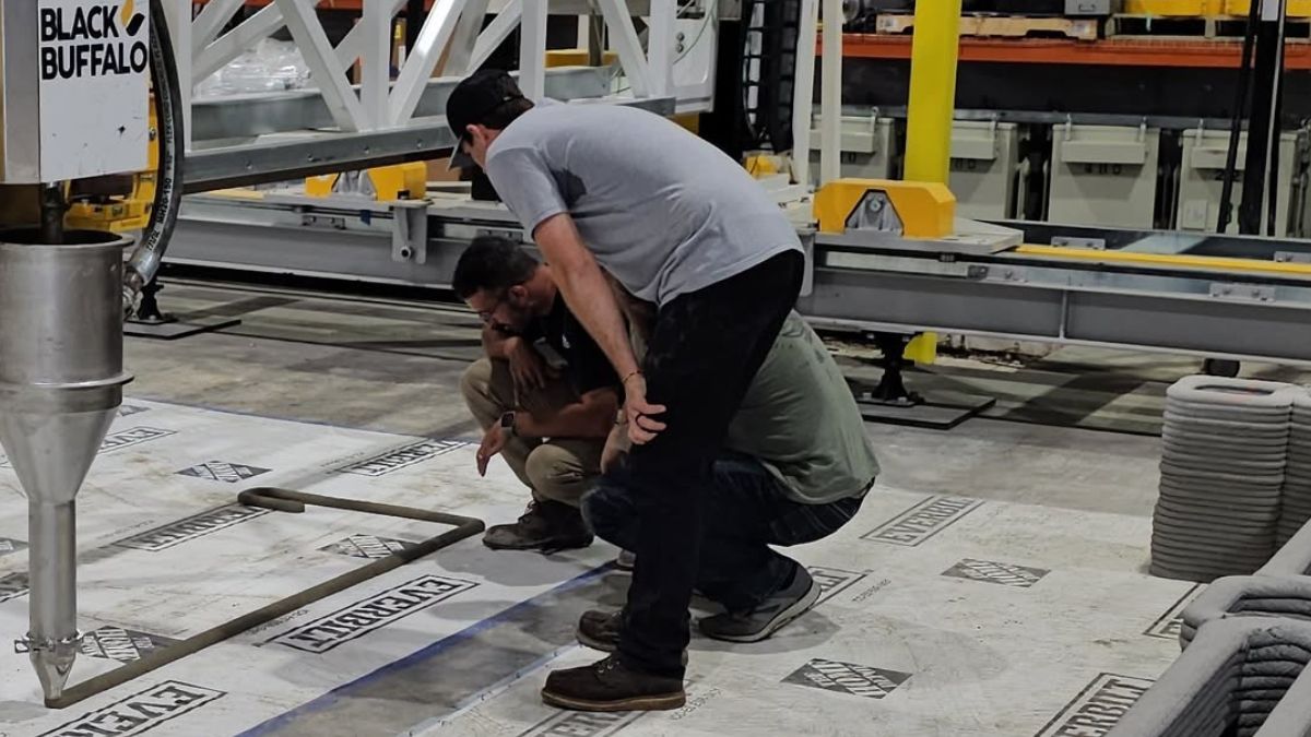 Black Buffalo 3D Corporation made its appearance at the Delaware Bankruptcy Court for its business protection.