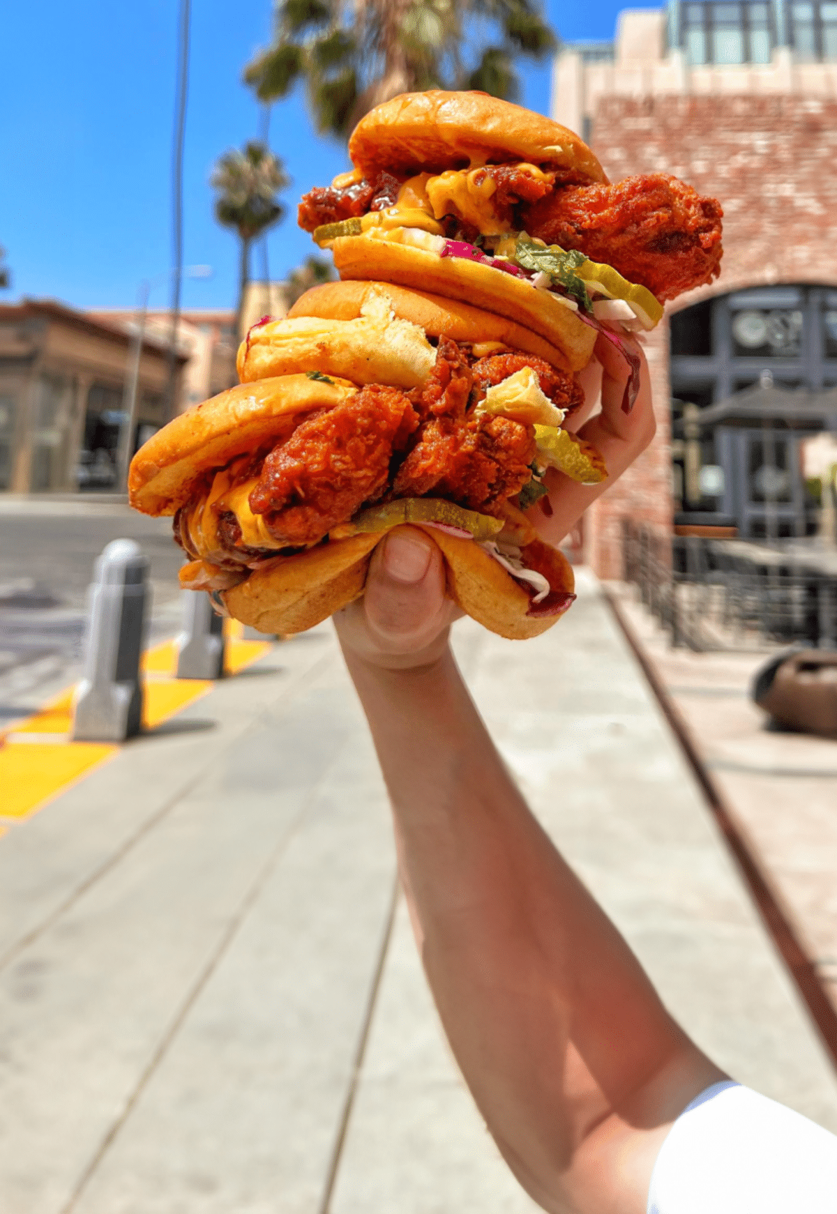 Dave's Hot Chicken to Open in Schertz, Franchisee Says More Locations to Come