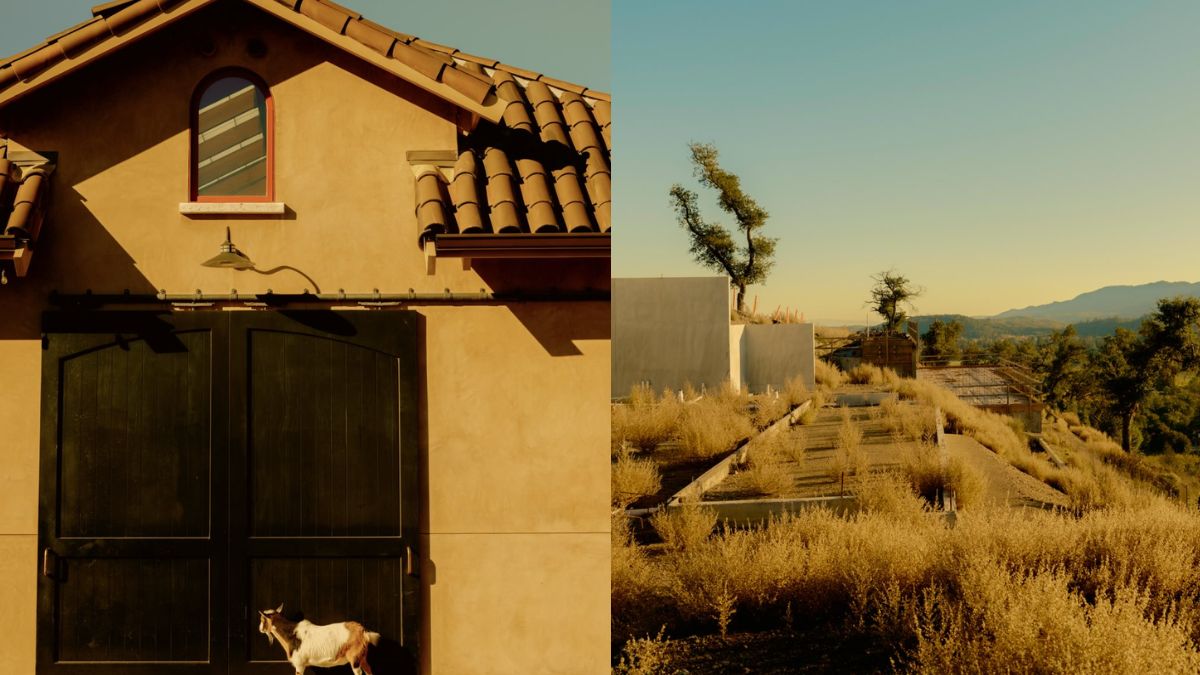 It shared its first official glimpse through an Instagram post featuring construction updates.