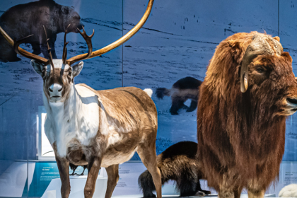 Fernbank announces "Planet Ice" exhibition.