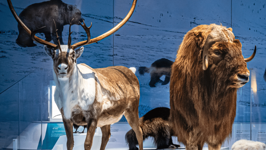 Fernbank announces "Planet Ice" exhibition.