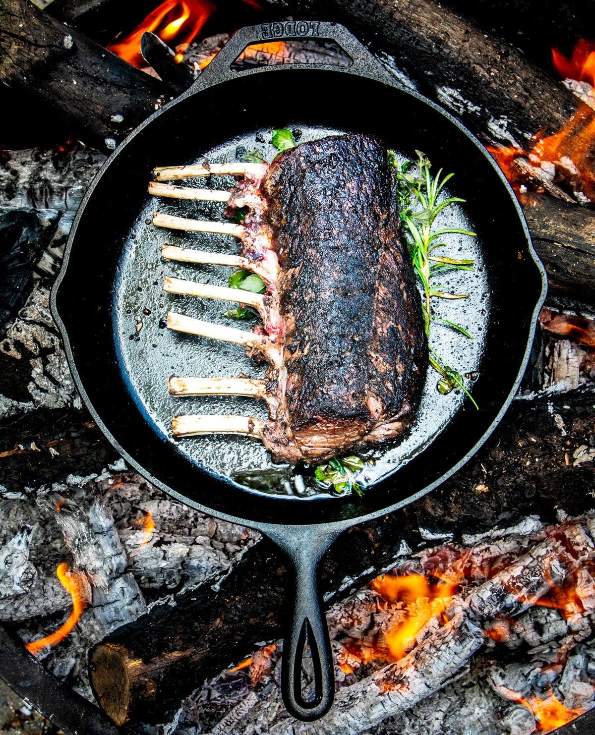 Antler to Temporarily Close for Renovations and Menu Updates