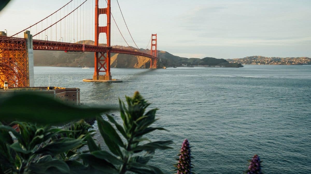 San Framcisco's Golden Gate Bridge image