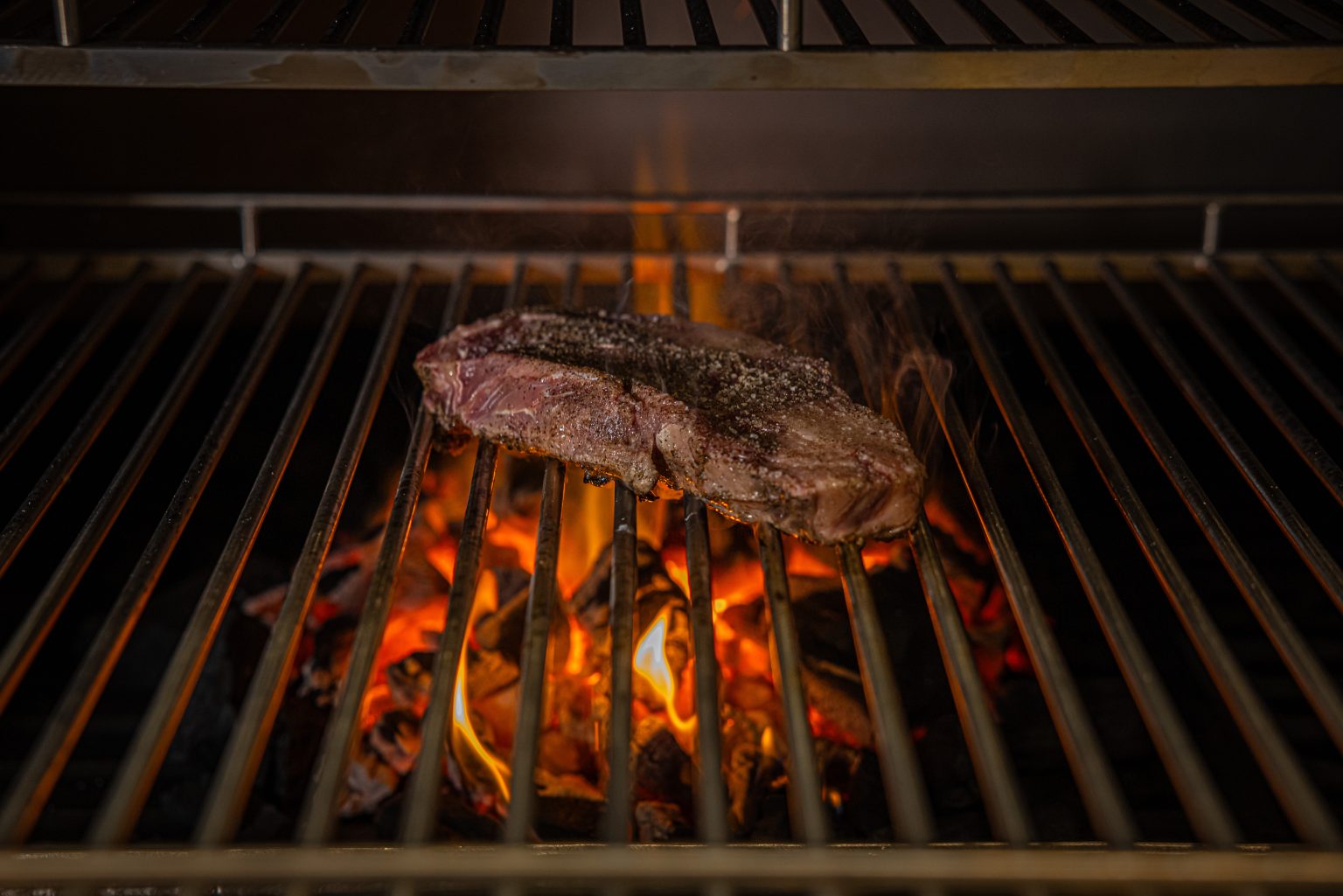 Santo Agave Opening in West Phoenix