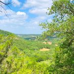 Sanctuary Cellars to Pour Into the Vintage Oaks Community