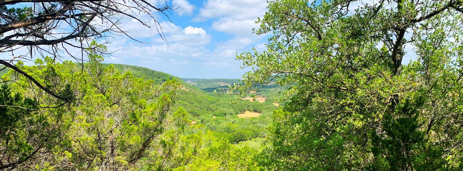 Sanctuary Cellars to Pour Into the Vintage Oaks Community