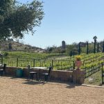 Sky Valley Cellars Planning Wine Bar in San Diego’s Marina District