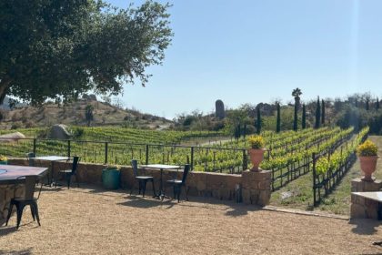 Sky Valley Cellars Planning Wine Bar in San Diego’s Marina District