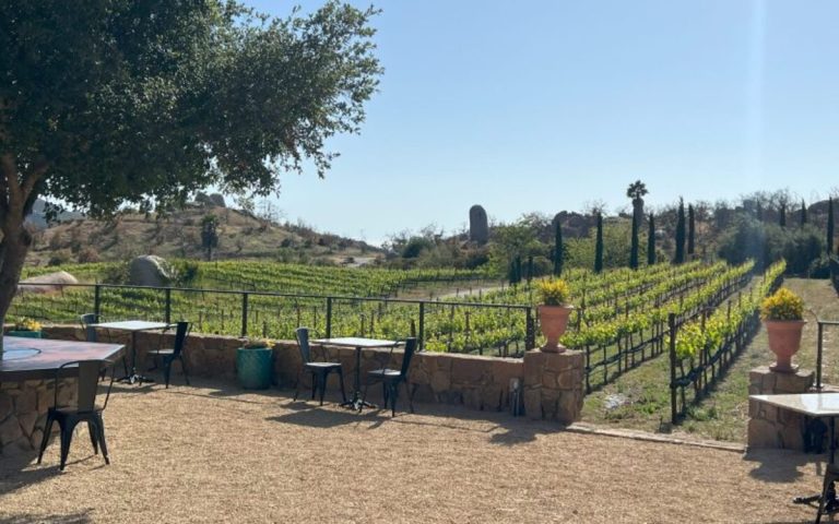 Sky Valley Cellars Planning Wine Bar in Marina District