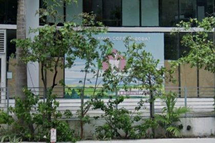 Pink Gorilla Kava Bar to Bring Coffee, Kava, and Community to Miami