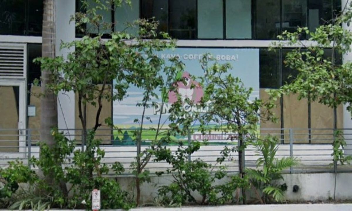 Pink Gorilla Kava Bar to Bring Coffee, Kava, and Community to Miami