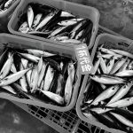 William Shen and Johnny Tung to Collaborate on New Baldwin Park Project