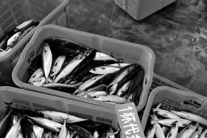 William Shen and Johnny Tung to Collaborate on New Baldwin Park Project