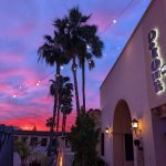 Dorothy's Wine Bar: Creating a Cozy "Third Space" in the Heart of San Diego