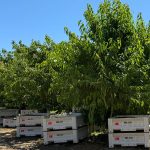 AgriMACS, Inc. announced closure, affecting 145 employees.