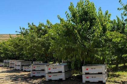 AgriMACS, Inc. announced closure, affecting 145 employees.