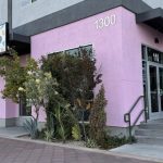 Dig It! Coffee Co. in Las Vegas employs adults of all abilities and was named one of Yelp's best coffee shops in the entire U.S.