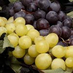 Hronis, Inc. made a Chapter 11 filing on March 6, 2026.