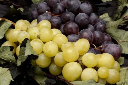 Hronis, Inc. made a Chapter 11 filing on March 6, 2026.