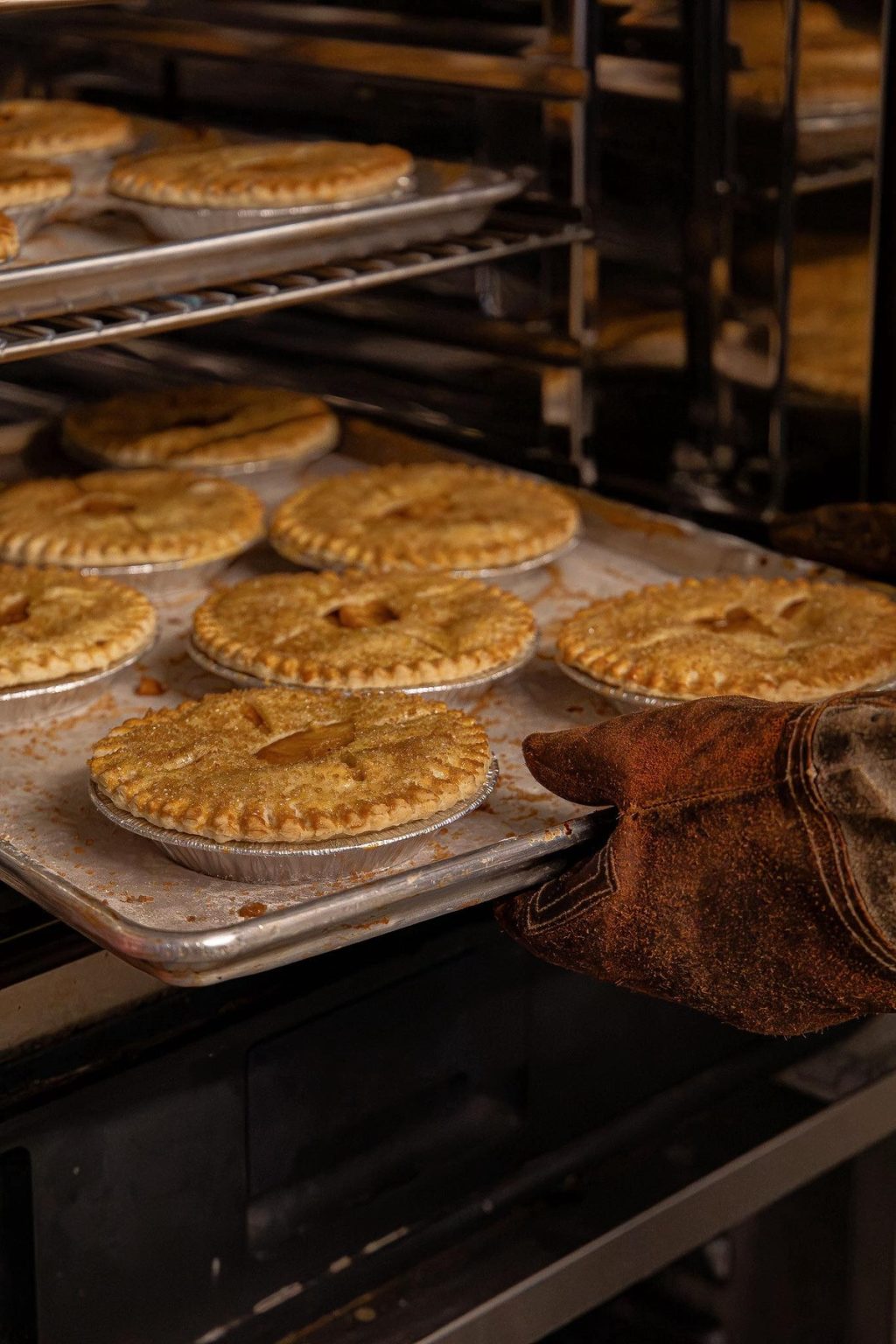 Kneads Bakeshop & Cafe Rising in DC