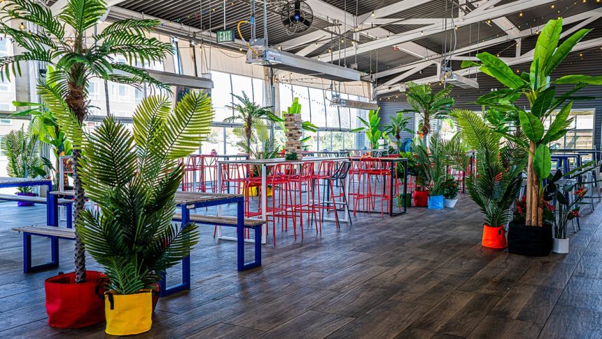 Pindustry to bring Bar Tropical to Denver.