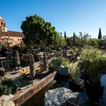 Stone Brewing Transitioning to New Ownership