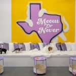 Purr-Fecto Cat Lounge to Open in the Southtown Lone Star District