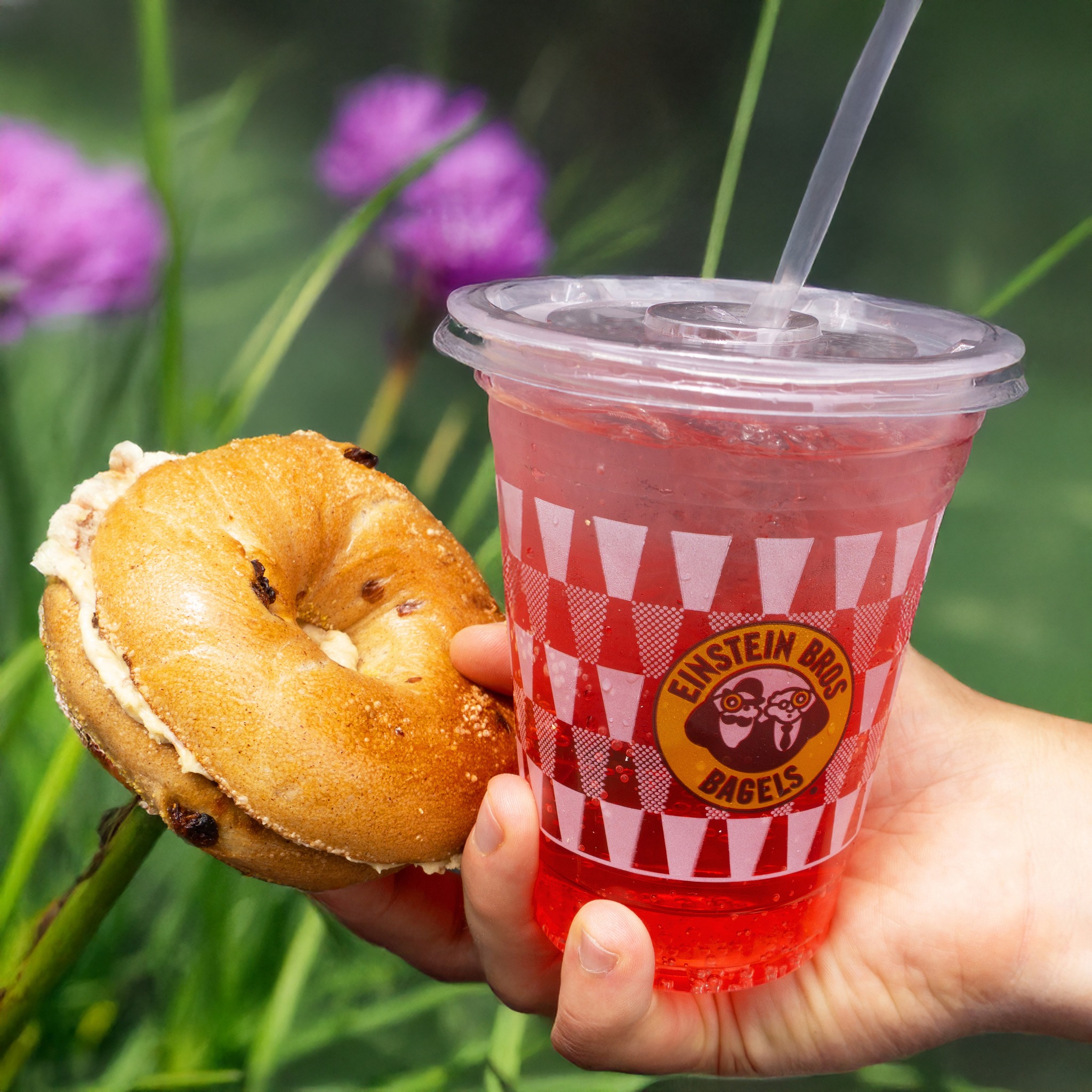 Einstein Bros. Bagels to Open in Oak Forest