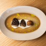 Jacaranda Opens May 6